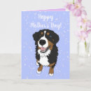 Search for mountain mothers day cards Bernese mountain dog