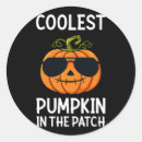 Search for coolest stickers Girls