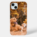 Search for labrador electronics Cute