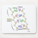 Search for chemical mousepads Structure