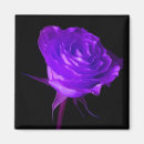 Search for shrubs magnets Flowers