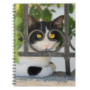 Search for funny cat notebooks Kitty
