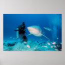 Search for dive posters Adventure