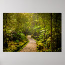 Search for footpath posters Forest