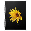 Search for helenium Yellow