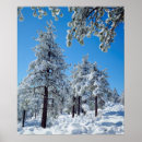 Search for snow covered trees posters Blue