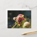 Search for froste postcards Green