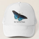Search for spotted hats Insects