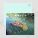 Search for florida manatee postcards Sea cow
