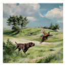 Search for german shorthaired pointer posters Gsp
