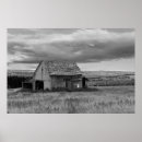 Search for black and white barn posters Country
