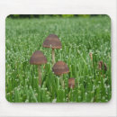 Search for mushroom mousepads Fungus