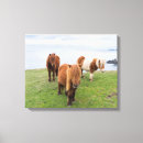 Search for pony canvas prints Herd