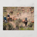 Search for released postcards Usa