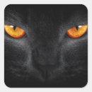 Search for black panthers stickers Feline
