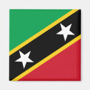 Search for kitt magnets Flag