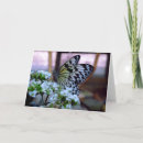 Search for butterfly iris cards Flowers