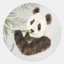 Search for panda bamboo stickers Animal