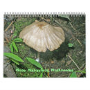 Search for toadstool office supplies Fungus