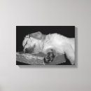 Search for dog napping art Sleeping