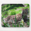 Search for maine mousepads Flowers