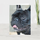 Search for french bulldog thank you cards Dogs