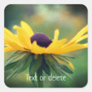 Search for black eyed susan flower stickers Nature