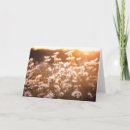 Search for daisies cards Bouquet