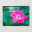 Search for gentleness postcards Peace