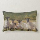 Search for sheep farming cushions Farms