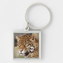 Search for jaguar animal key rings Wild