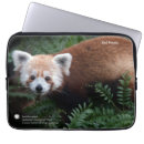 Search for panda laptop cases Asia