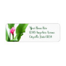 Search for calla lily return address labels Pretty