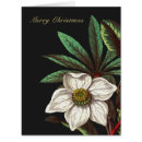 Search for electronic postcards Floral