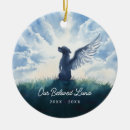 Search for loss pet memorial ornaments Bereavement
