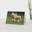 Search for gypsy vanner horse cards Breed