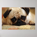 Search for large dog posters Cute