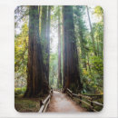 Search for muir woods mousepads Nature