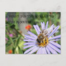 Search for funny bees postcards Flower