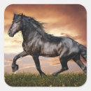Search for black horse stickers Animal