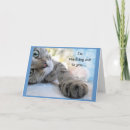 Search for cat encouragement cards Inspirational