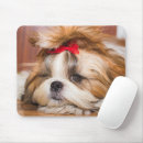Search for shihtzu mousepads Puppy