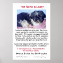 Search for animal rescue posters Puppies