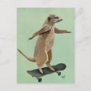 Search for skateboard postcards Flowers
