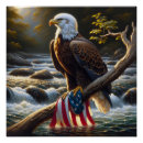 Search for bald eagles posters Patriotic