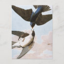 Search for audubon postcards John james audubon