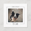 Search for face business cards Dog