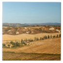 Search for tuscany tiles Landscape
