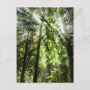 Search for postcrossing Nature