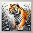 Search for tiger drawing posters Wildlife